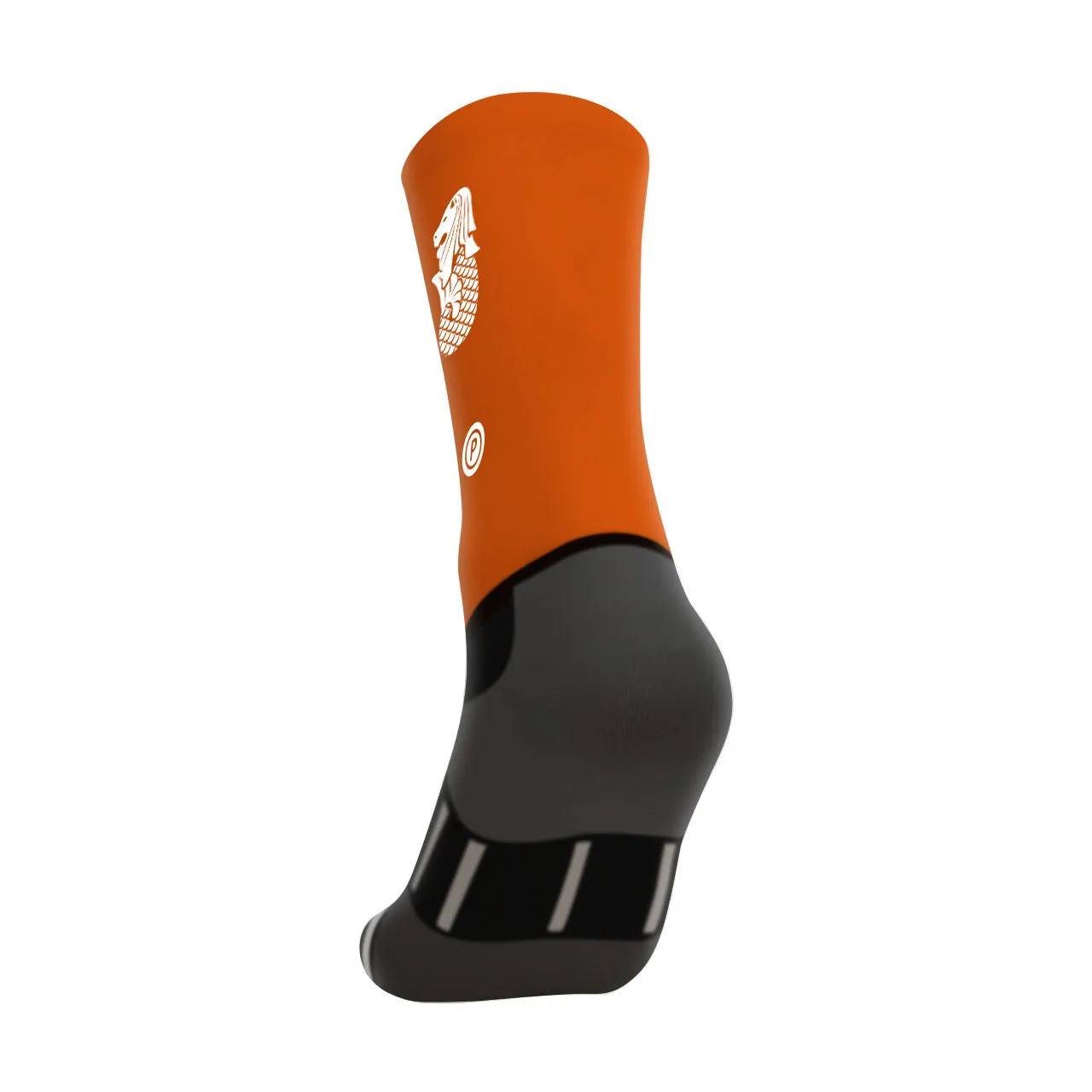 2024 LOWLANDERS Racing Socks
