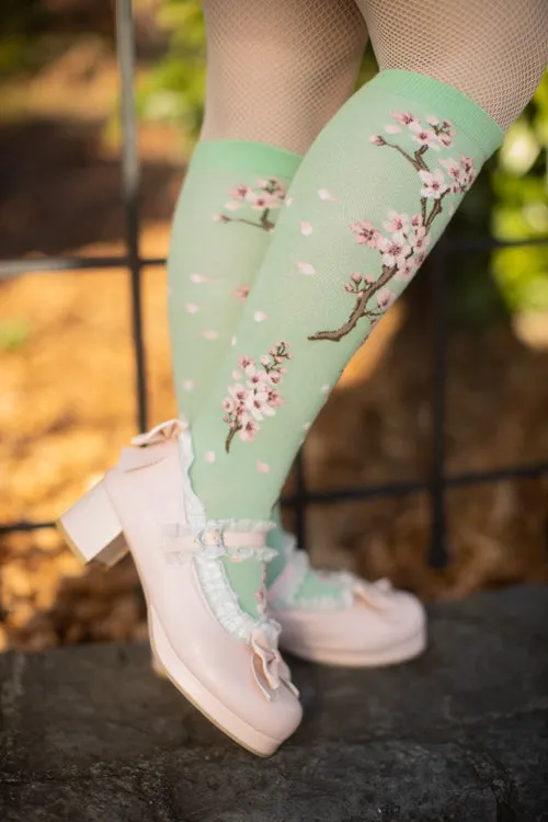 Cherry Blossom Knee High