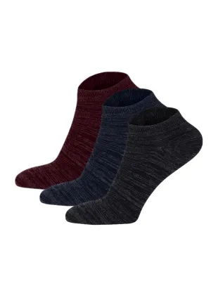 Multicolour Ankle Length Socks (Pack of 3)